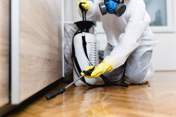 Best Pest Removal Services  in USA